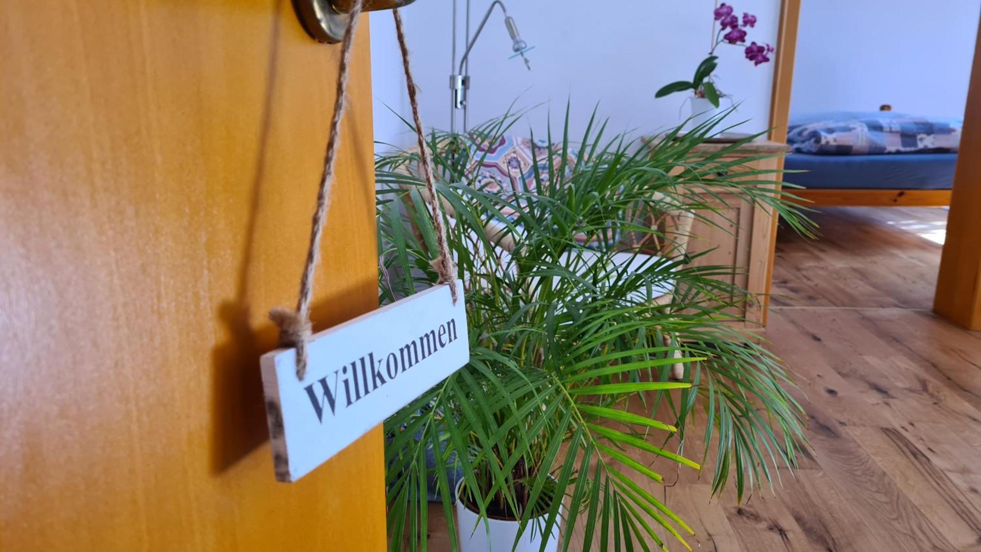 Fewo Mein Panama Verbandsgemeinde Verbandsgemeinde Bernkastel-Kues Buitenkant foto